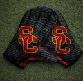 University of Southern California
