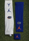 Florida gators bundle